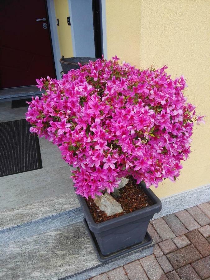 B&B Guglielmina Quarna Sotto エクステリア 写真